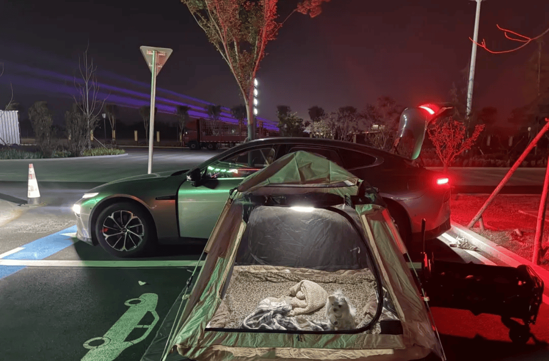 期间年轻人旅行掀起“帐篷过夜”热潮瓦力棋牌游戏不住酒店住帐篷！国庆(图3)